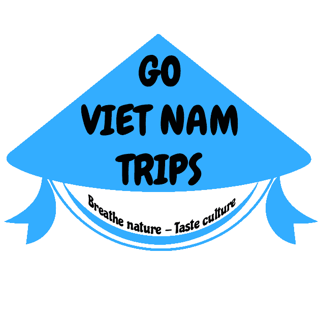 Go Viet Nam Trips